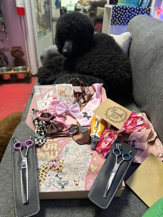 Now Live: All-Star Best Selling Mystery Boxes